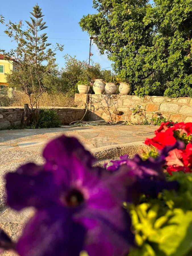 Apartamento Σελήνη Kotronion  Exterior foto
